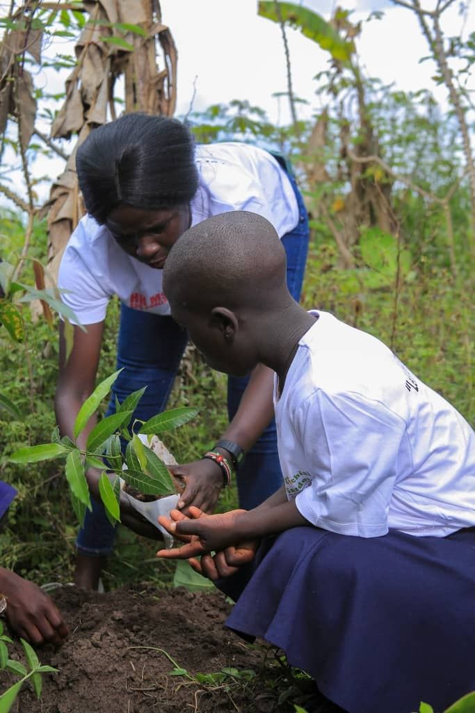 Students planting a seedling together