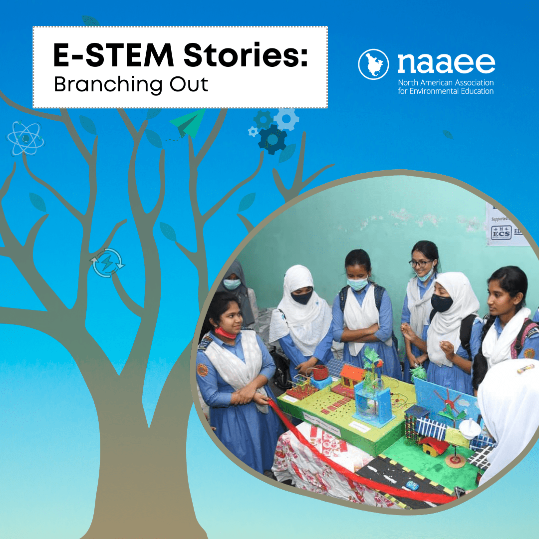 Logo for E-STEM Stories: Branching Out blog series