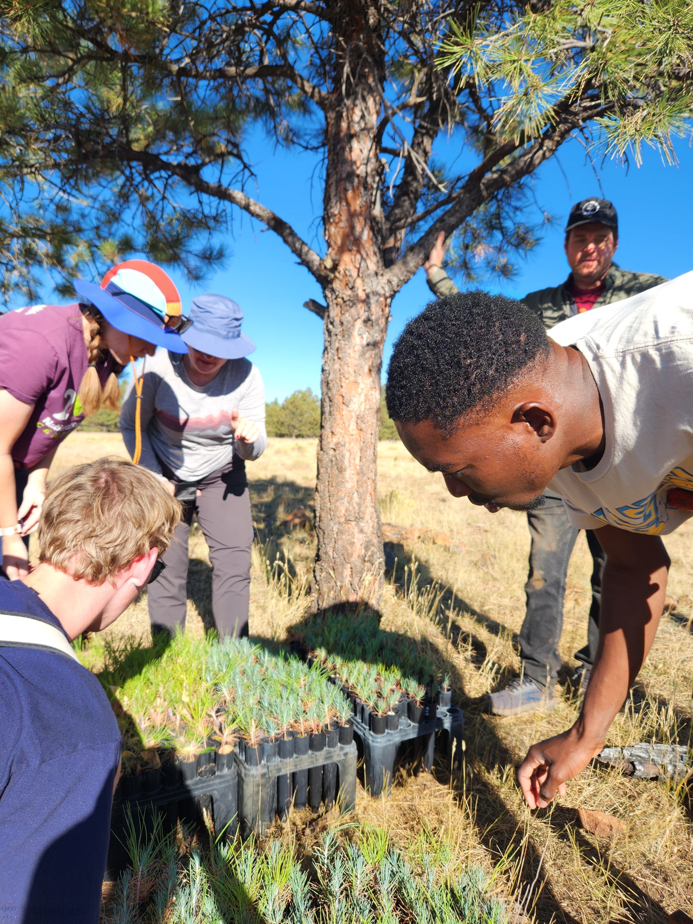 Caleb and students planting small seedlings