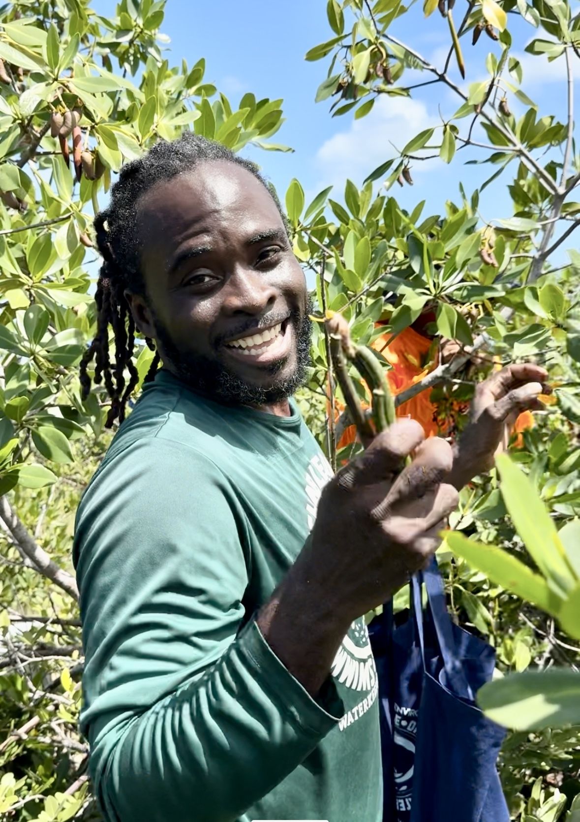 Javan Hunt picking propagules (Red Mangrove seeds) for mangrove restoration in Grand Bahama. 