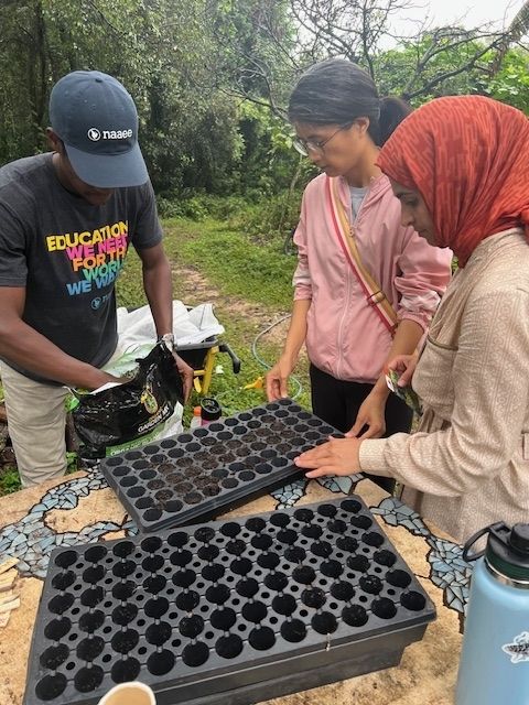 Three people stand around a table with seeding mats, adding soil into the openings to prepare them for seeding.