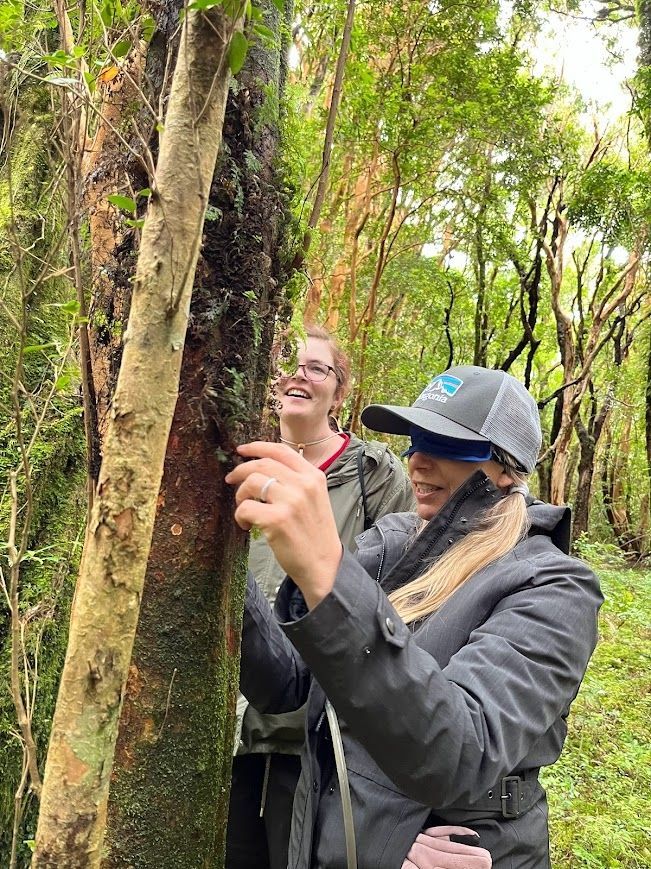A nature activity participant wears a blindfold and touches a tree while watched by someone behind them.