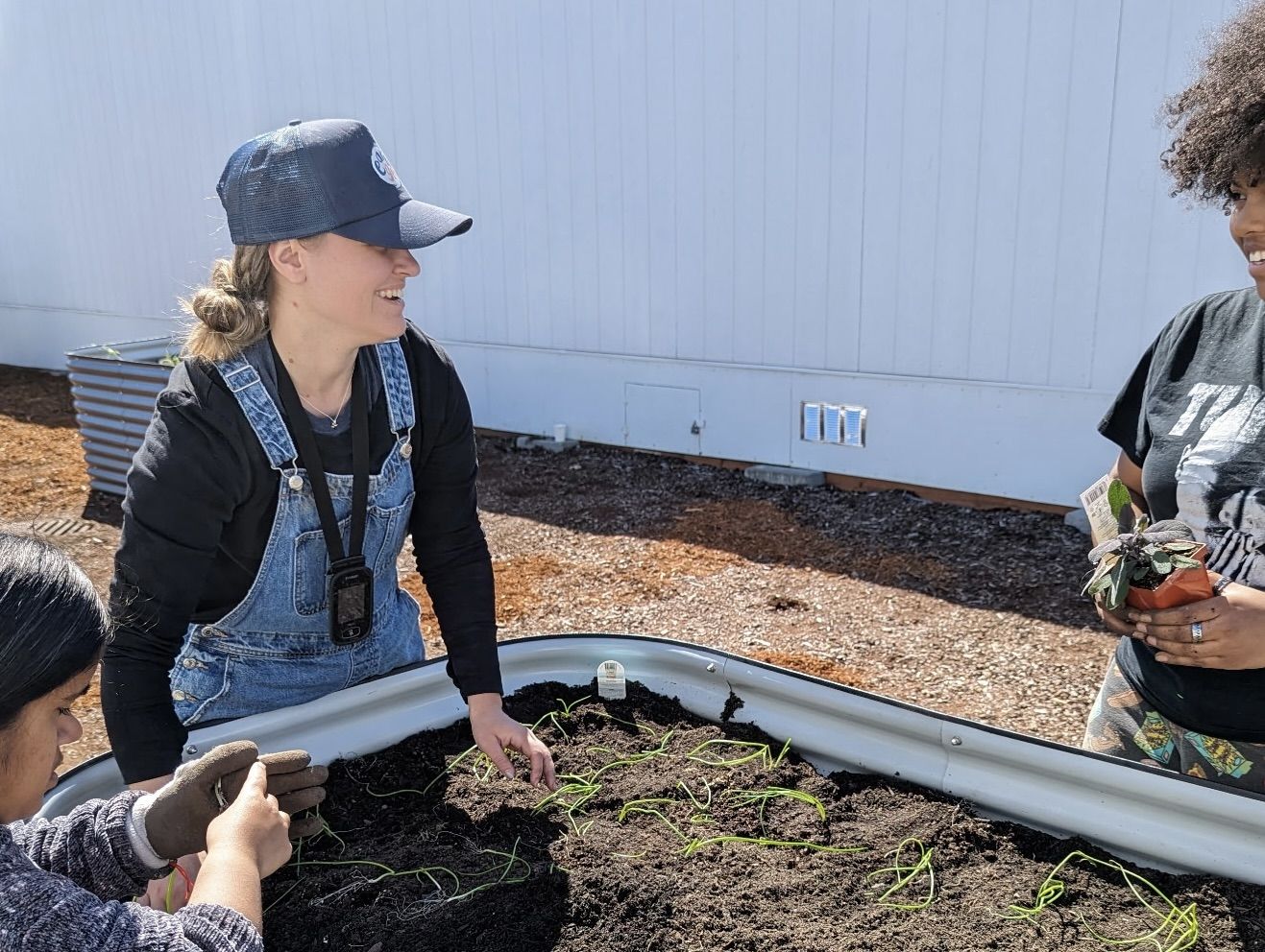 Bethany installing a raised garden bed with two students