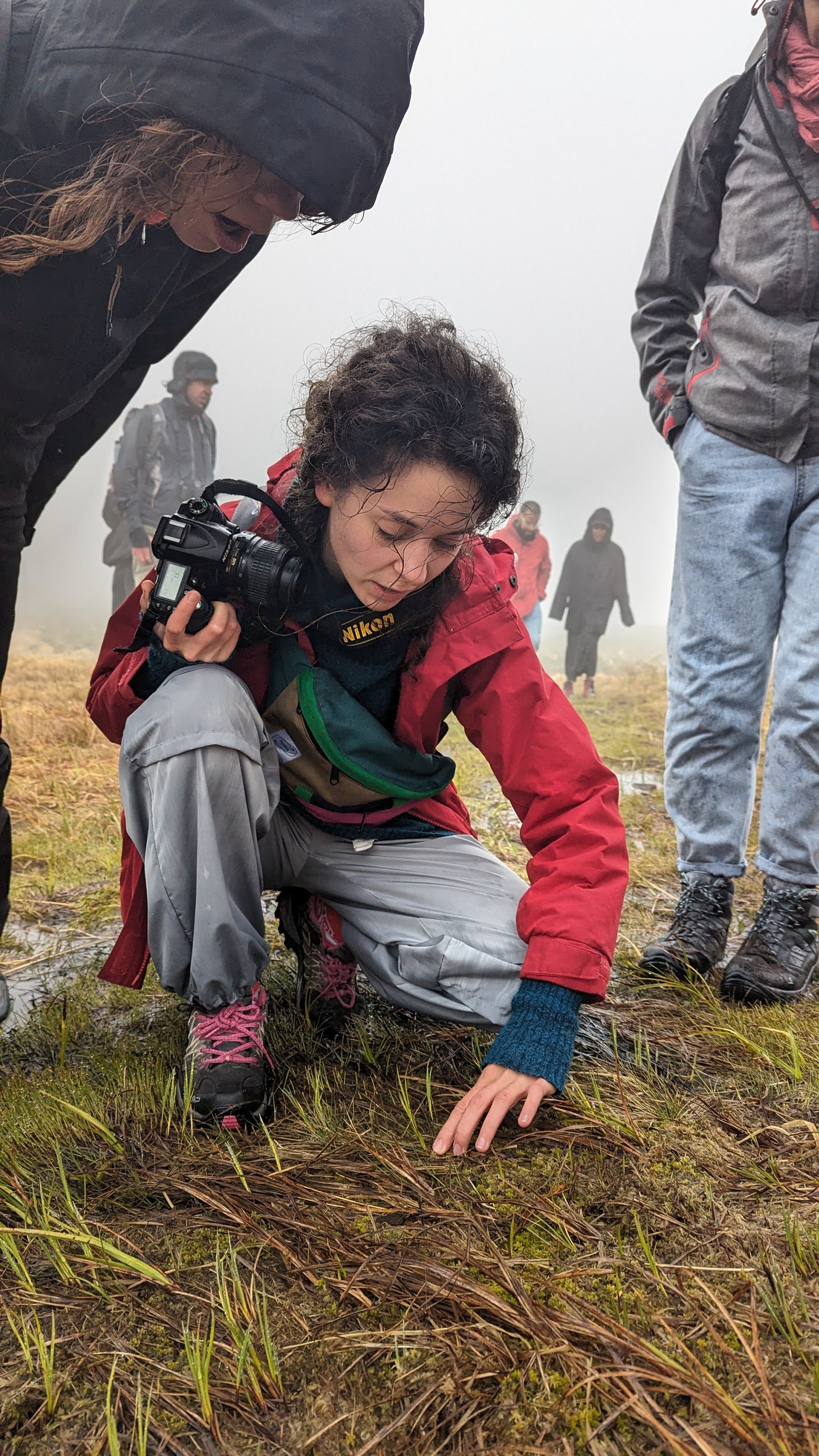 Valeriia shows colleagues Sphagnum moss during a field trip to a peatland