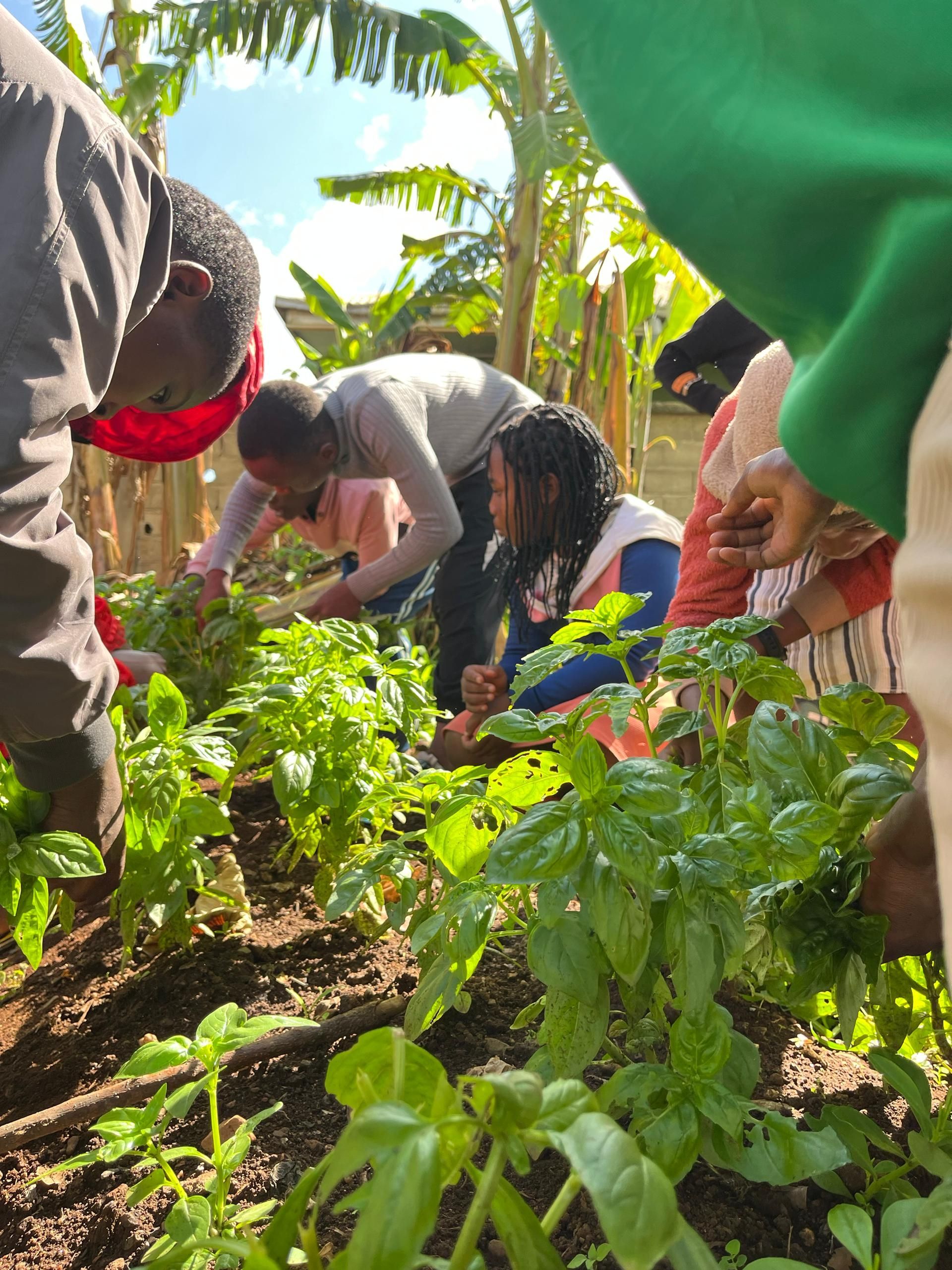 Students gardening 
