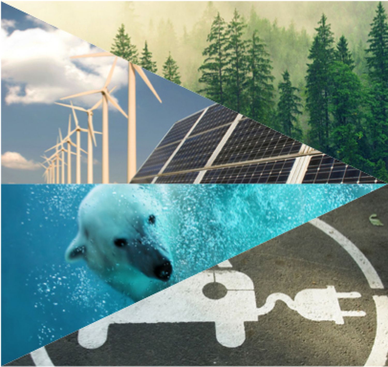 collage of dolphin, earth, forest