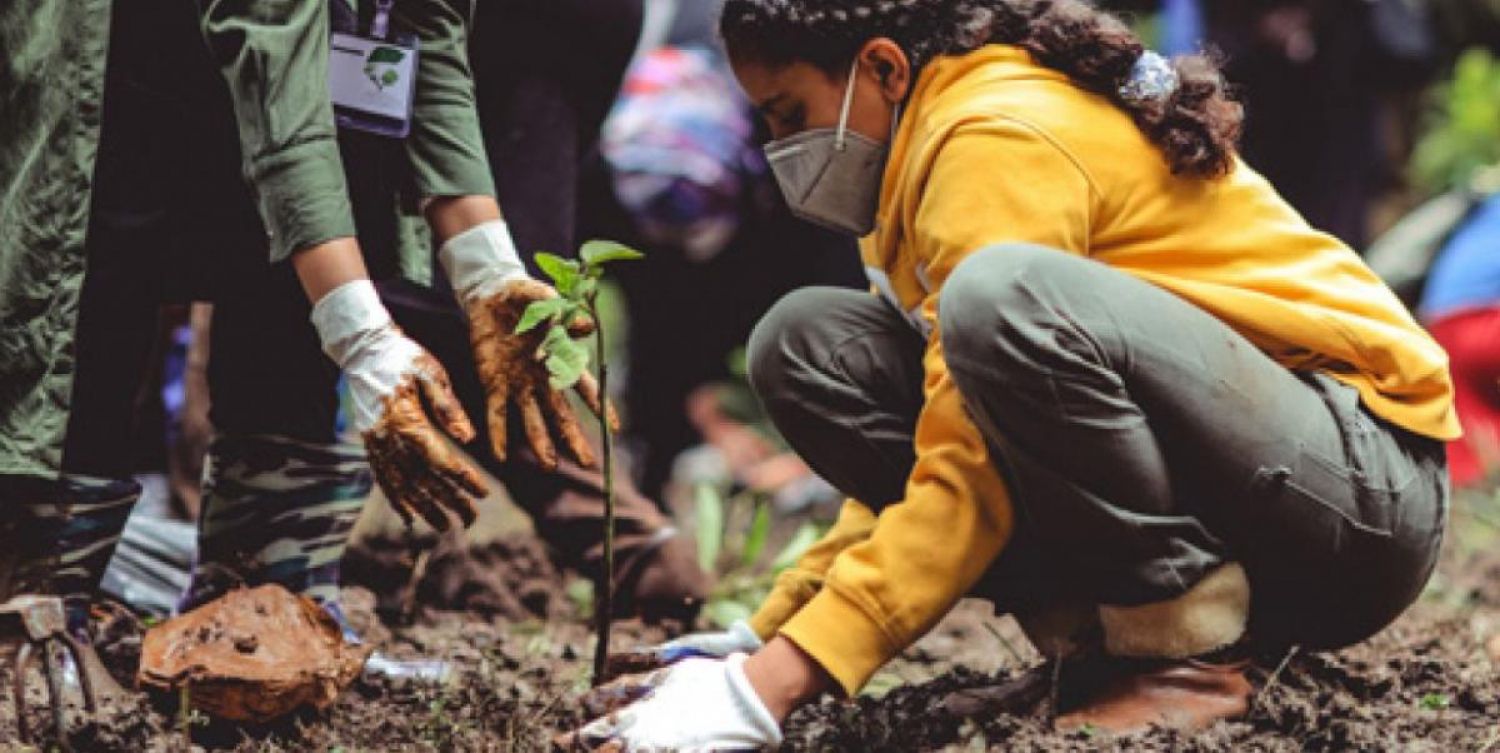 young person planting tree