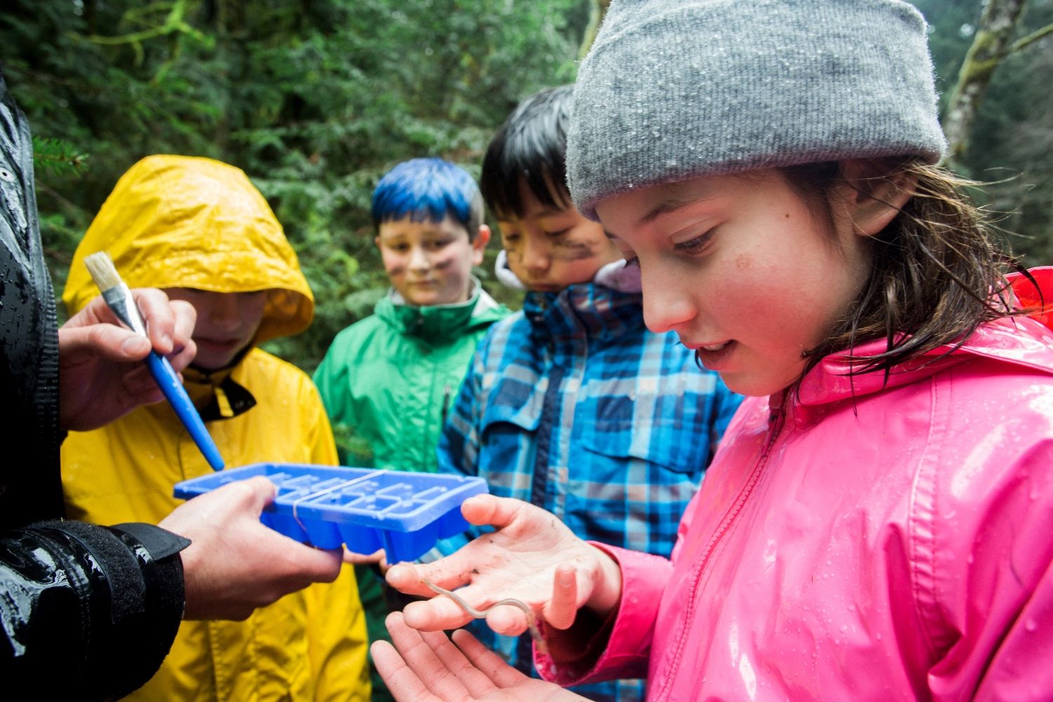 Student observes a worm